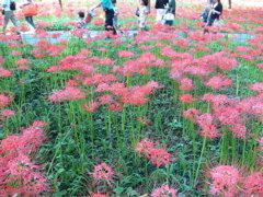 P1000039.JPG