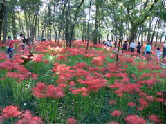 P1000040.JPG