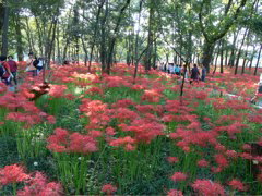 P1000041.JPG