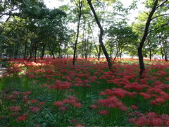 P1000042.JPG