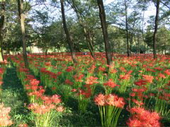 P1000044.JPG
