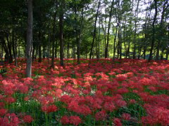 P1000011.JPG