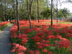 P1000053.JPG