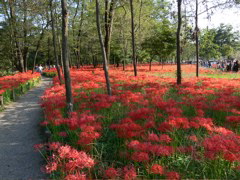 P1000054.JPG