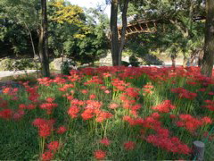 P1000055.JPG