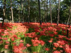 P1000012.JPG