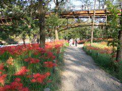 P1000057.JPG