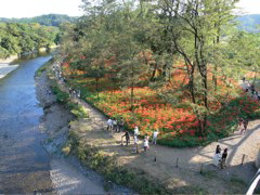 P1000059.JPG