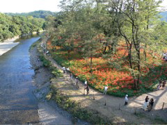 P1000060.JPG