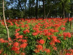 P1000062.JPG