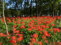 P1000063.JPG