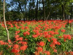 P1000064.JPG