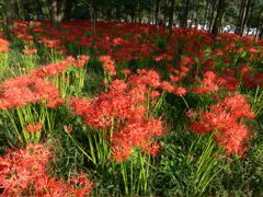 P1000065.JPG