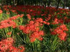 P1000066.JPG