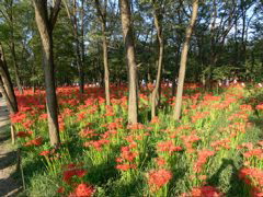 P1000067.JPG