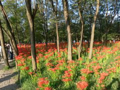 P1000068.JPG