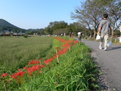 P1000069.JPG
