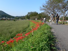 P1000070.JPG