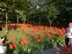 P1000073.JPG