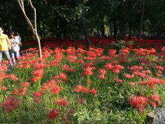 P1000074.JPG