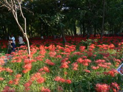 P1000075.JPG