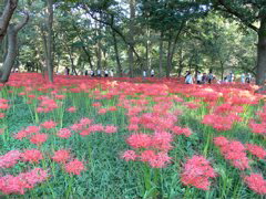 P1000076.JPG