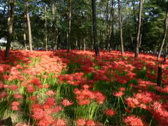 P1000014.JPG