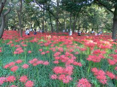 P1000077.JPG
