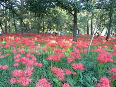 P1000078.JPG