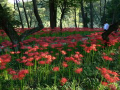 P1000082.JPG