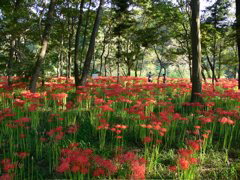 P1000083.JPG