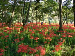 P1000084.JPG