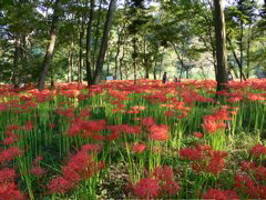 P1000085.JPG