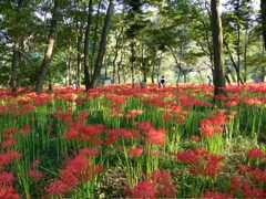 P1000086.JPG