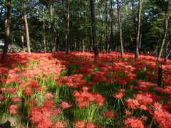 P1000015.JPG