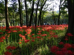 P1000088.JPG