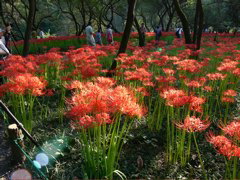 P1000089.JPG