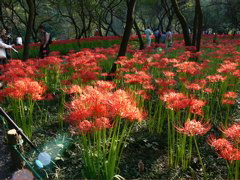 P1000090.JPG