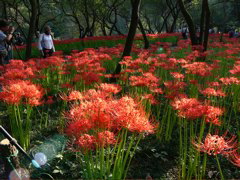 P1000091.JPG