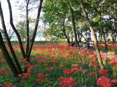 P1000094.JPG