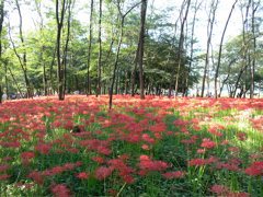 P1000016.JPG