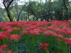 P1000098.JPG