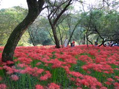 P1000099.JPG
