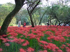 P1000100.JPG
