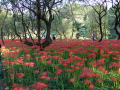 P1000101.JPG