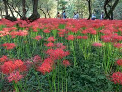 P1000103.JPG